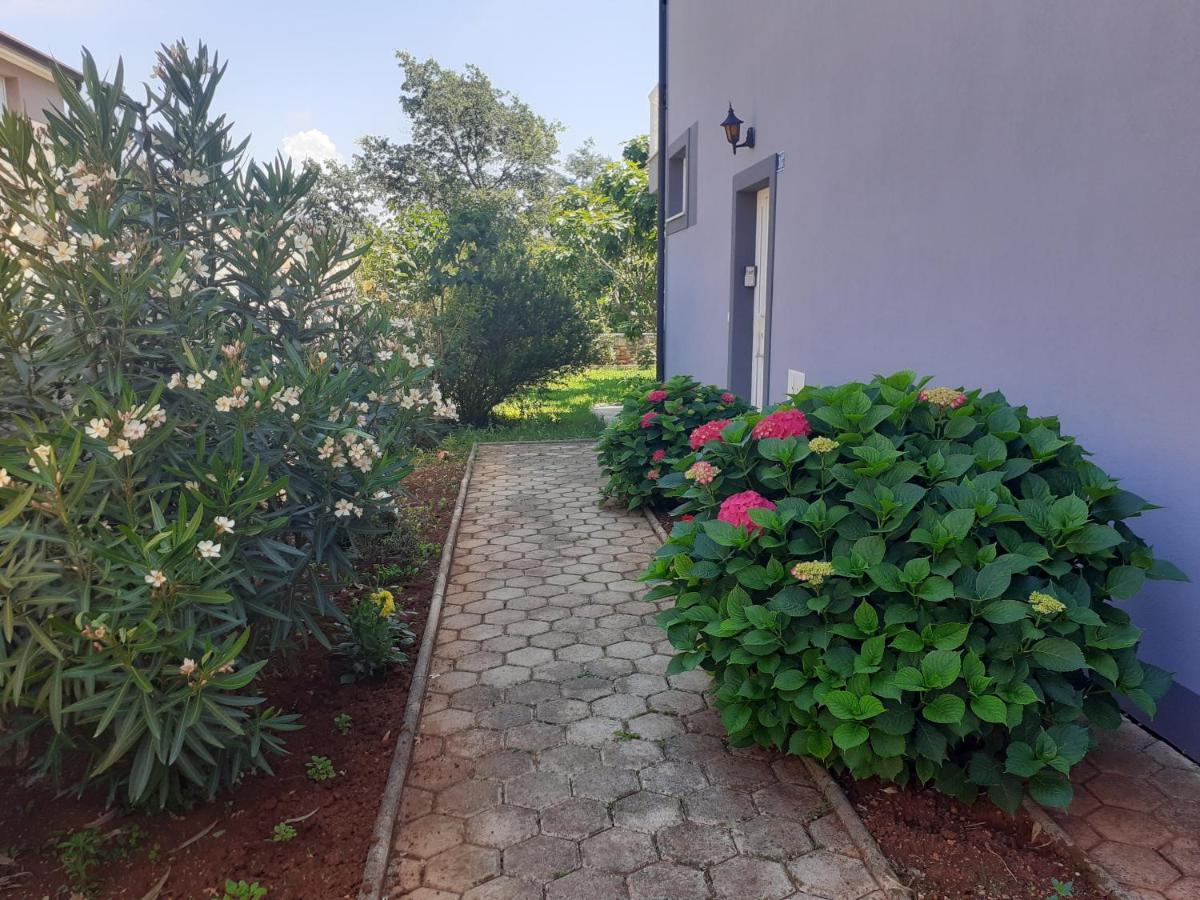 Seget  Bed And Breakfast Julia المظهر الخارجي الصورة