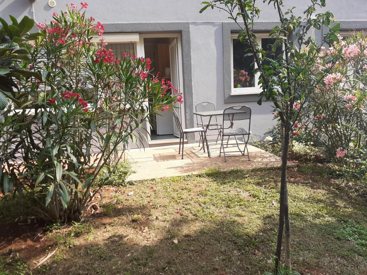 Seget  Bed And Breakfast Julia المظهر الخارجي الصورة